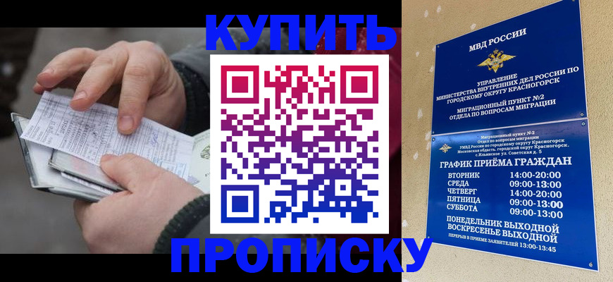 временная регистрация недорого в Мордовии