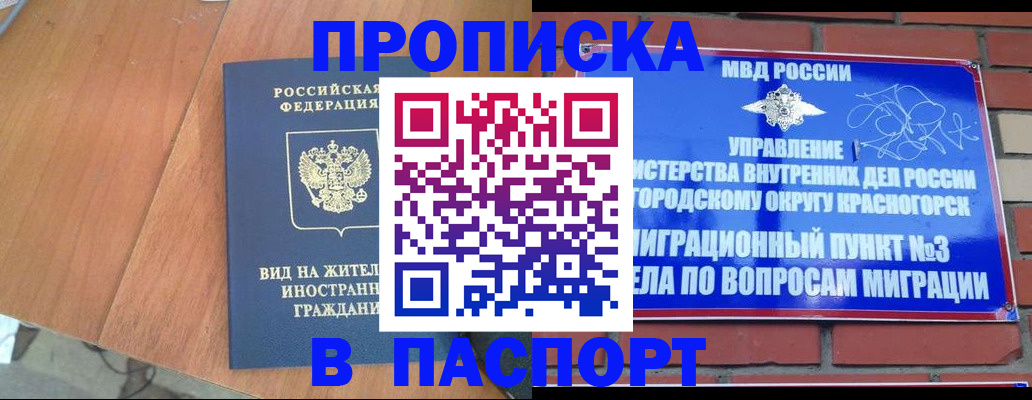 найти адрес прописки в Мордовии